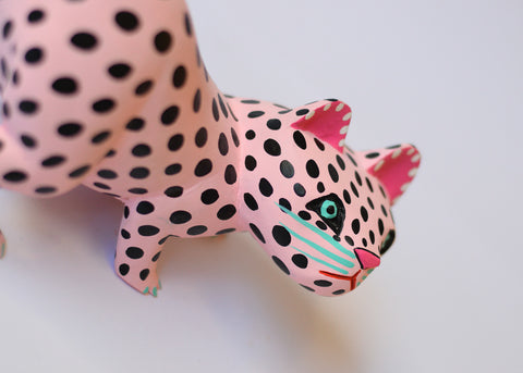 Gato Rosa y Negro Lunares