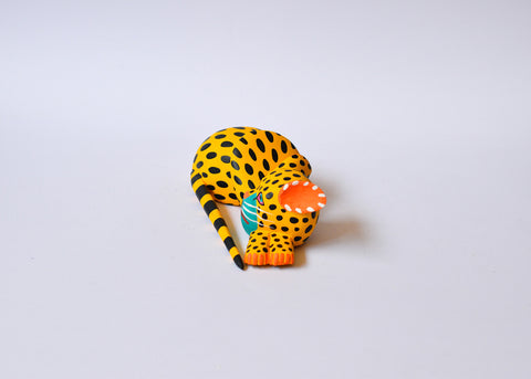 Jaguar Chico Amarillo