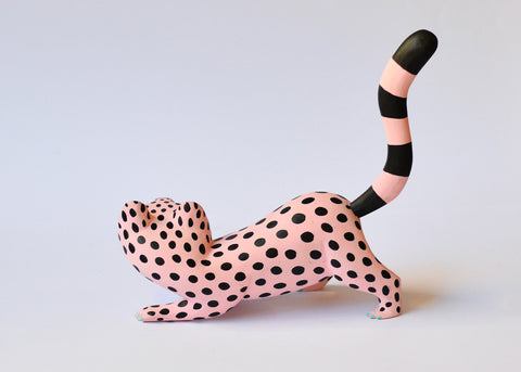 Gato Rosa y Negro Lunares