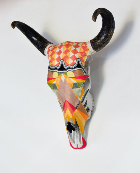 Cabeza Contemporary Fuccia