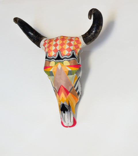 Cabeza Contemporary Fuccia