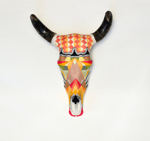 Cabeza Contemporary Fuccia
