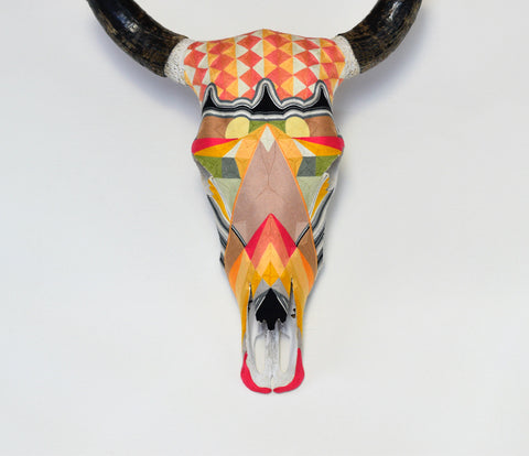 Cabeza Contemporary Fuccia